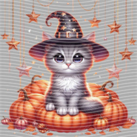 Halloween-WS 5729